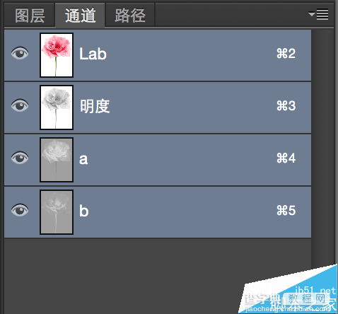 Lab通道和画笔工具对照片艺术化调色处理介绍18