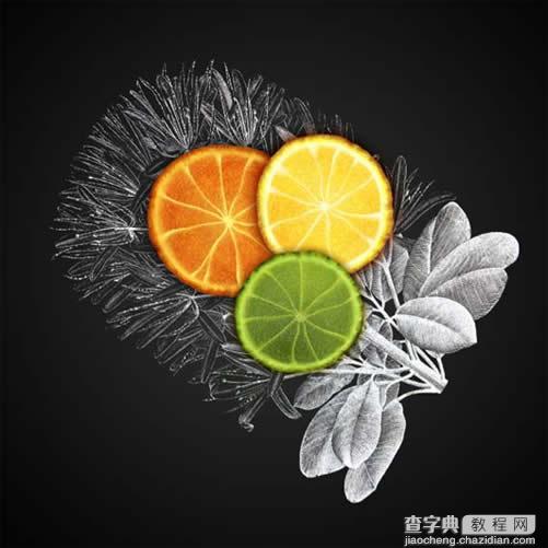 Photoshop打造有机理有汁液的橙子19