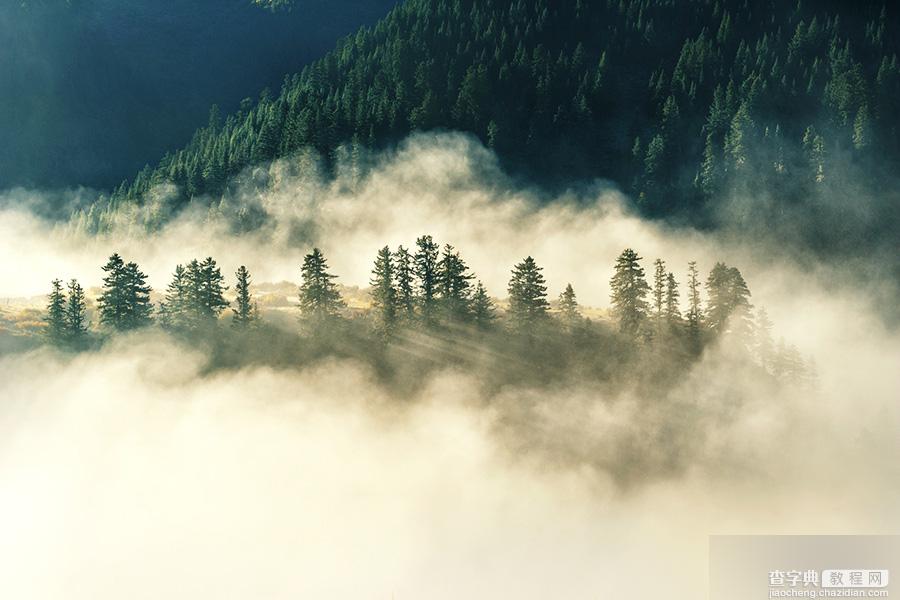 PS给森林打造梦幻迷雾的风光照片11