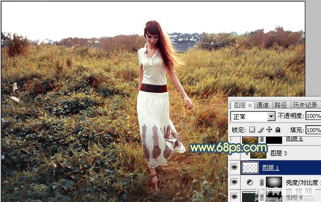 Photoshop调出大气的暗调晨曦色荒草人物图片22