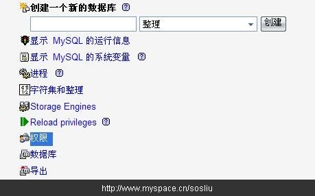 phpmyadmin中为站点设置mysql权限的图文方法4