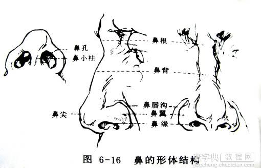 photoshop 鼠绘漂亮的金发模特(五官发丝)15