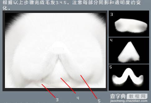 photoshop鼠绘神态憨厚的小白猫头像效果8