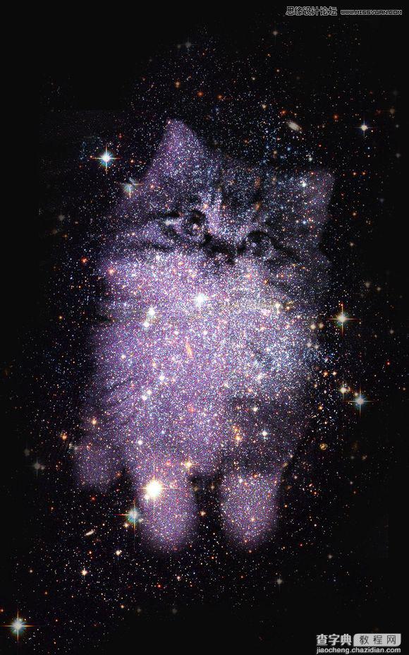 使用Photoshop合成创意的星空装饰的猫咪图片1