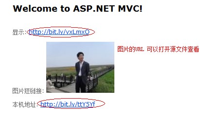 ASP.NET通过第三方网站Bitly实现短链接地址程序6