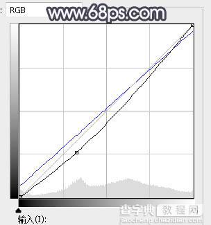 Photoshop调制出梦幻的淡冷色人物图片29