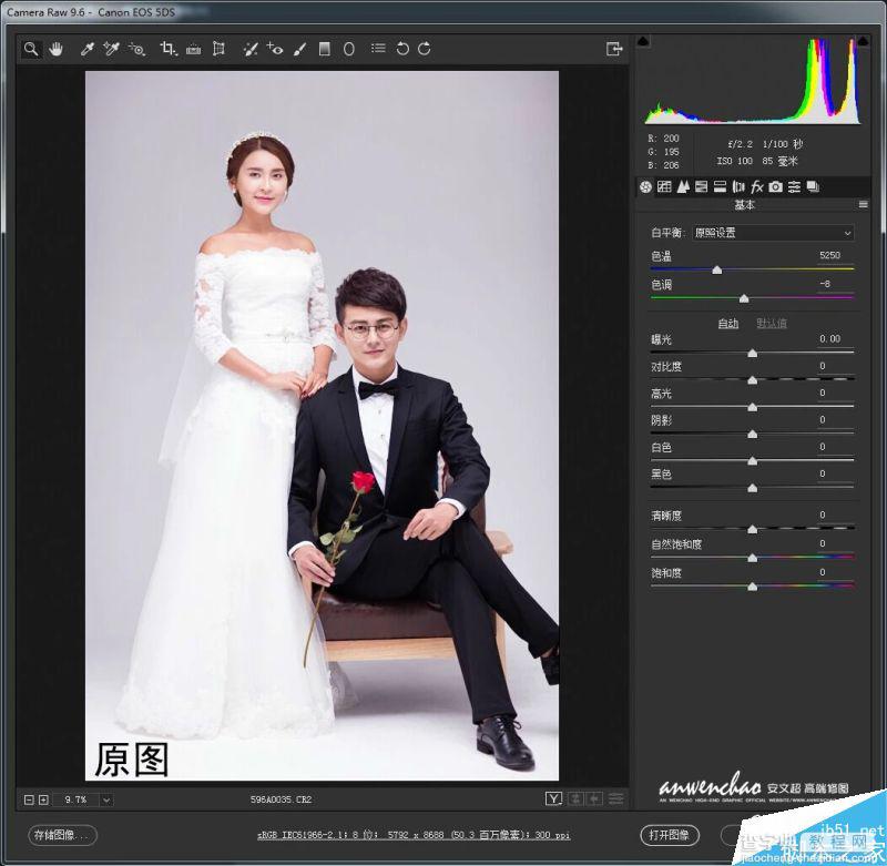 PS调出优雅韩式风格的婚纱照效果图3