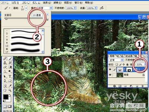 Photoshop图片合成实例:回归森林的老虎5