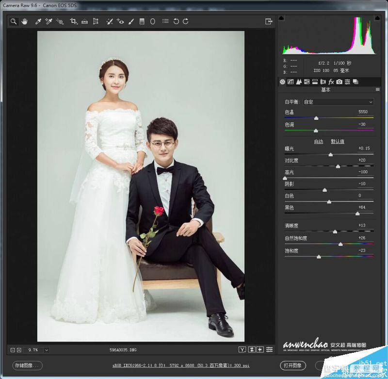 PS调出优雅韩式风格的婚纱照效果图5