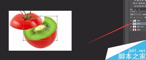 PS合成披着西红柿的猕猴桃创意效果图12