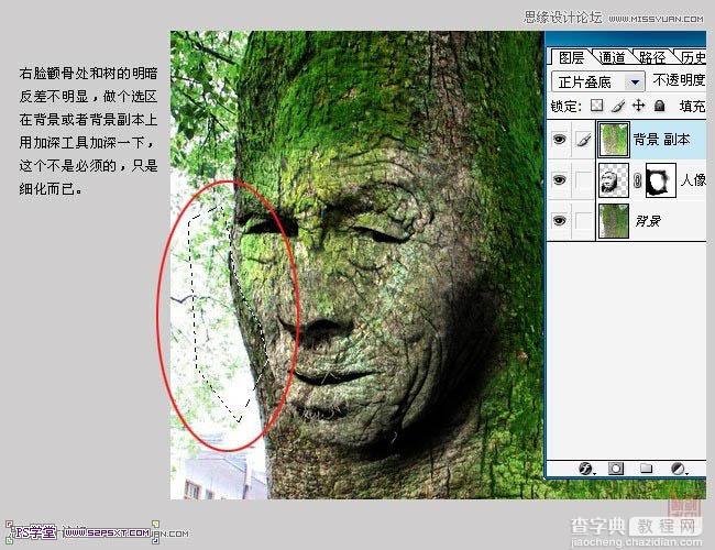 photoshop将人像合成到古树里面的教程7