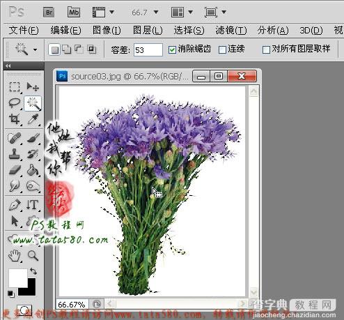 Photoshop合成制作手捧花朵求爱的可爱松鼠教程14