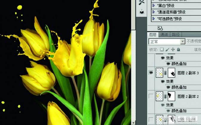 photoshop合成动感的喷溅郁金香教程6