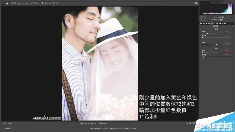 Photoshop调出甜美暖黄色调的外景婚纱照片10