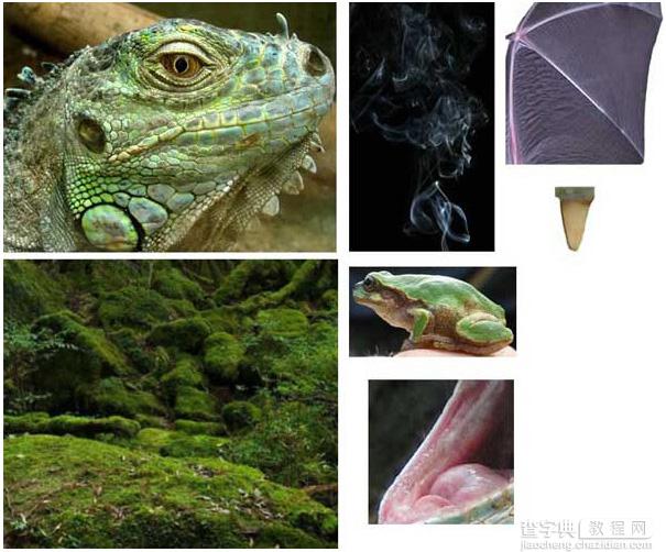 photoshop用蜥蜴或鳄鱼合成制作一条逼真的绿龙3