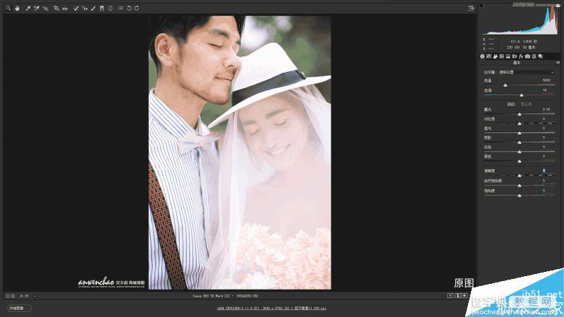 Photoshop调出甜美暖黄色调的外景婚纱照片4