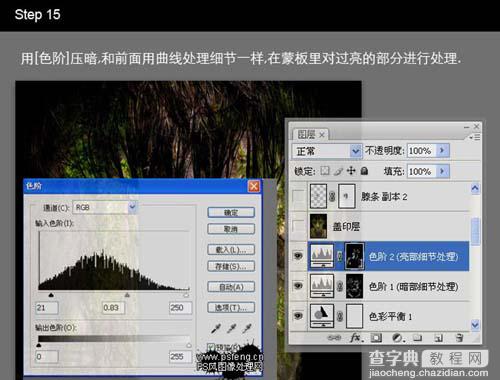 photoshop 合成长满青苔的石像18