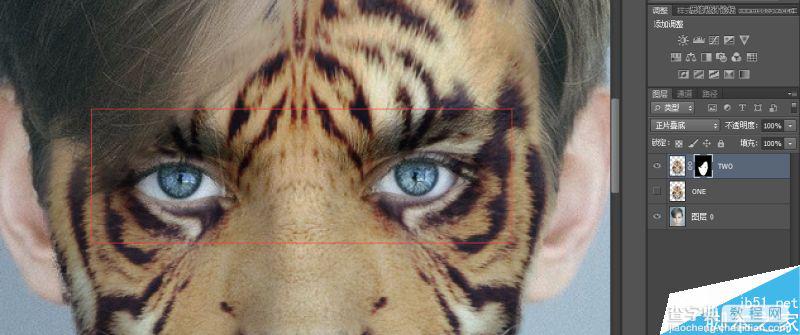 Photoshop将老虎头像和人脸完美融合在一起的效果图41