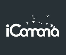 ICamana创意标志作品5