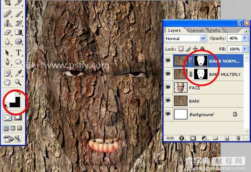 photoshop 合成恐怖的树皮脸12