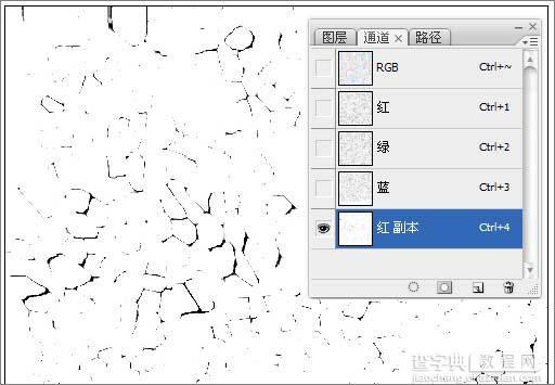 photoshop 滤镜打造逼真的质感皮革21