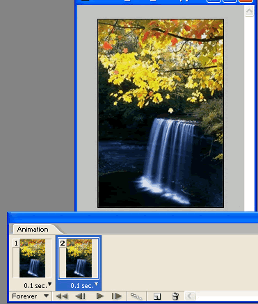 Photoshop制作秋风吹落树上的叶子动画10