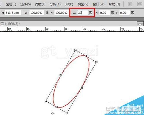 入门:ps简单绘制花朵纹样17