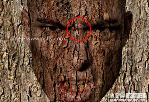 photoshop 合成恐怖的树皮脸9