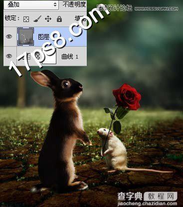photoshop合成制作情人节小老鼠向松鼠送玫瑰花场景11