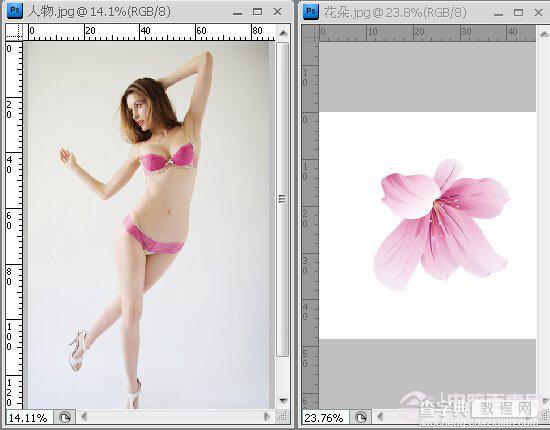 Photoshop为美女穿上花瓣内衣2
