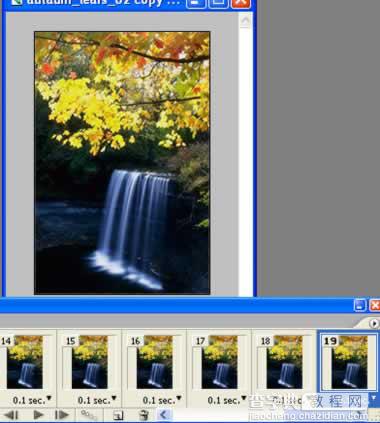 Photoshop制作秋风吹落树上的叶子动画16