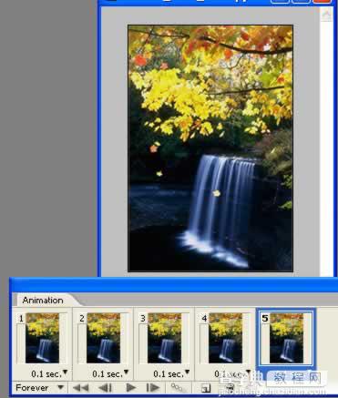 Photoshop制作秋风吹落树上的叶子动画13