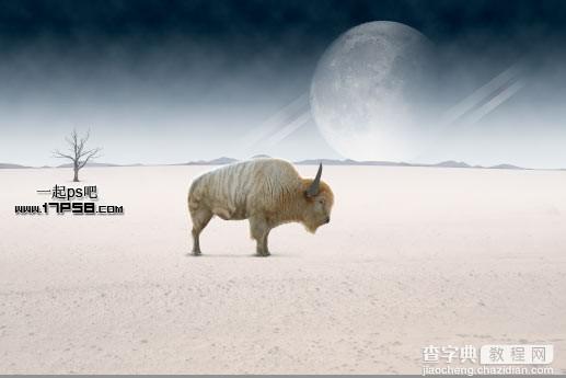 photoshop合成在荒野星球沙漠中一头变异的野牛独自矗立的场景1