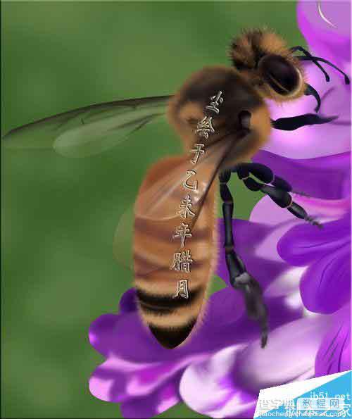 PS鼠绘一只可爱的绒绒的小蜜蜂1