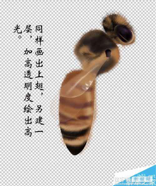 PS鼠绘一只可爱的绒绒的小蜜蜂15