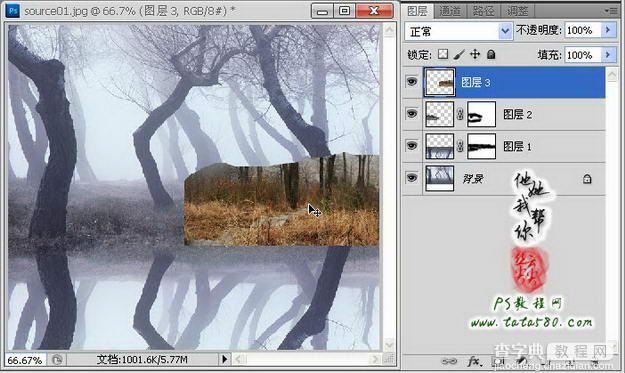 Photoshop制作寂静恐怖的丛林电影海报教程20