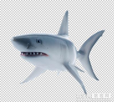 photoshop合成在瓶子里游泳的鲨鱼26
