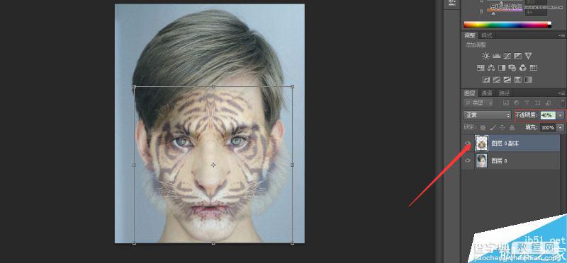 Photoshop将老虎头像和人脸完美融合在一起的效果图27