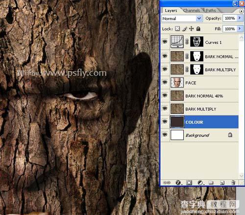 photoshop 合成恐怖的树皮脸23