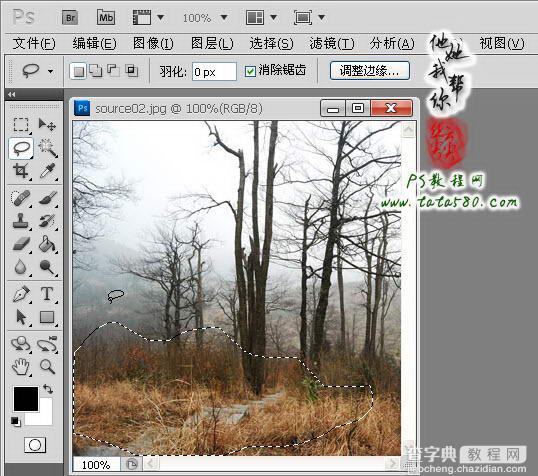 Photoshop制作寂静恐怖的丛林电影海报教程14