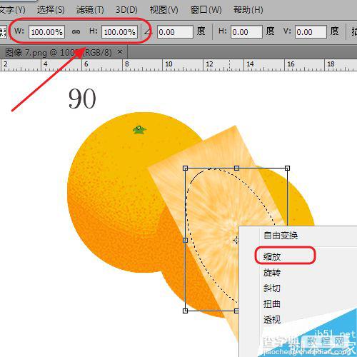 ps绘制一个漂亮逼真的橙子15