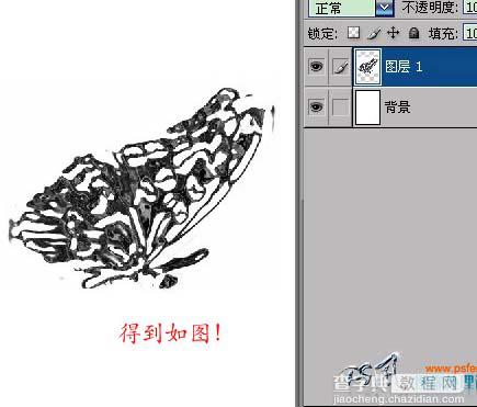 Photoshop 滤镜制作液态花纹图案5