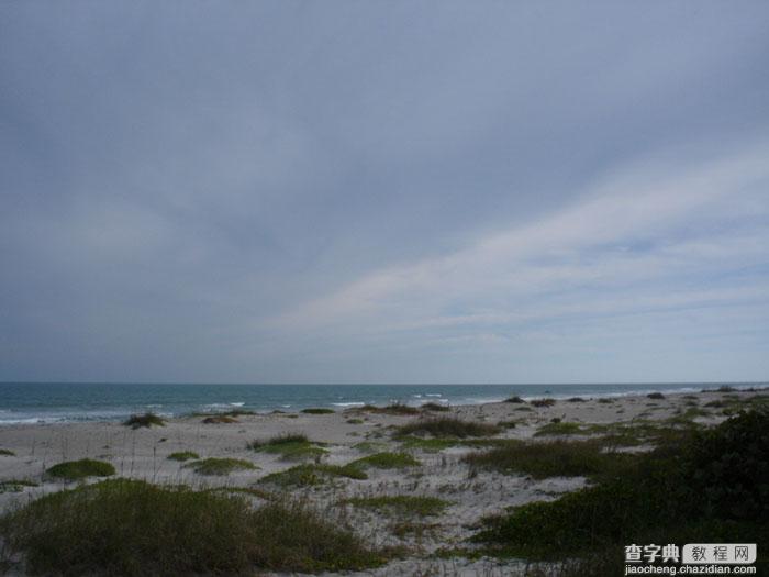 PS合成魔法师瞬间摧毁大树的场景2