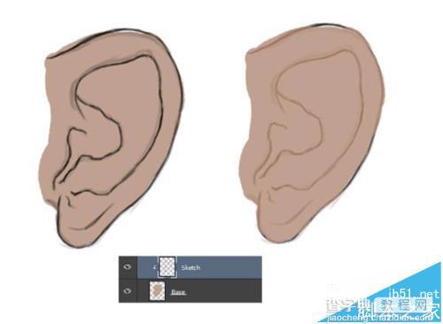 ps怎么制作绘制人体的耳朵的矢量图形?6