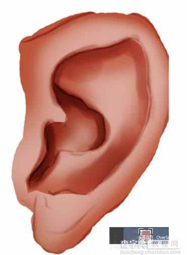 ps怎么制作绘制人体的耳朵的矢量图形?9