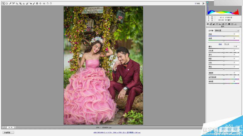 Photoshop调出外景影楼婚纱照片高质量质感肤色效果5