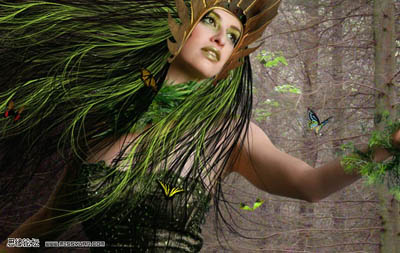 photoshop 合成漂亮的森林女皇30