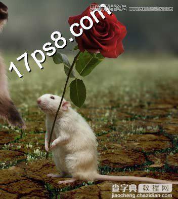 photoshop合成制作情人节小老鼠向松鼠送玫瑰花场景9