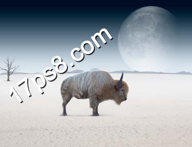 photoshop合成在荒野星球沙漠中一头变异的野牛独自矗立的场景12