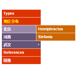 JS+CSS实现的竖向简洁折叠菜单效果代码1